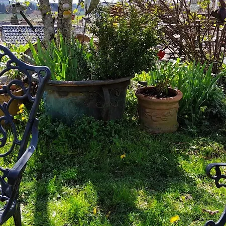 Willrich Apartamento *