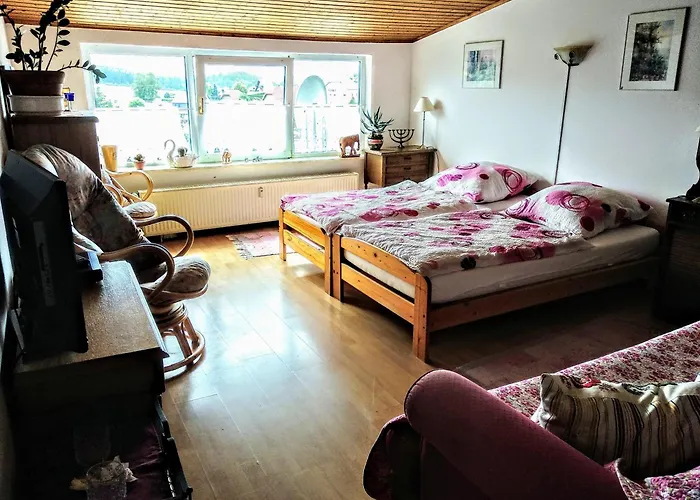 威尔赫斯公寓酒店 公寓 *