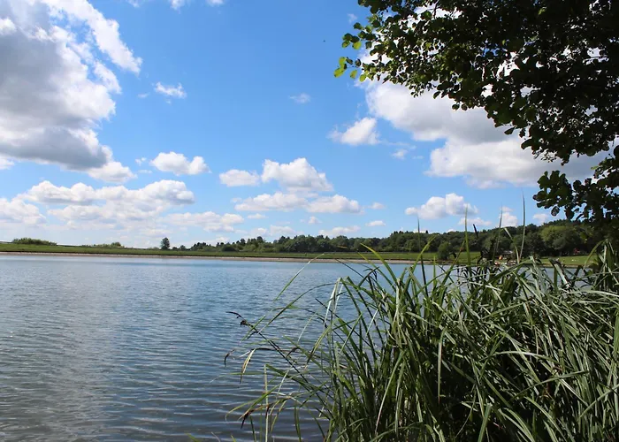 公寓 威尔赫斯公寓酒店 布兰肯海姆