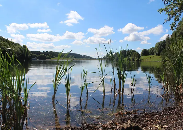 威尔赫斯公寓酒店 布兰肯海姆