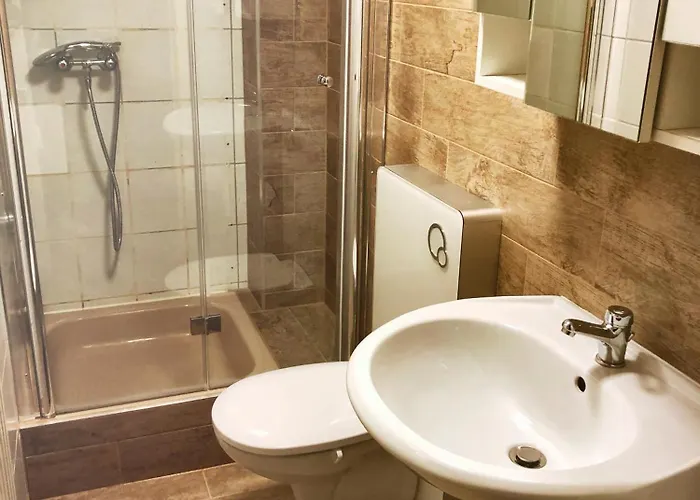 公寓 威尔赫斯公寓酒店 *