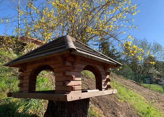 威尔赫斯公寓酒店 *