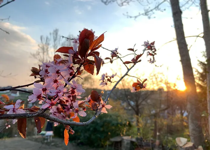 威尔赫斯公寓酒店