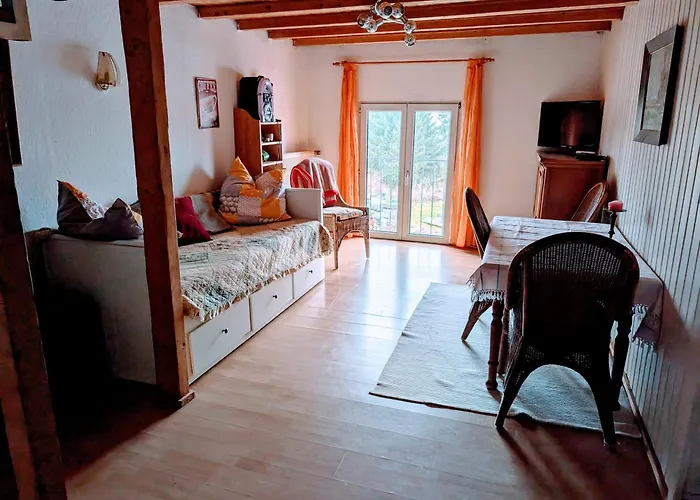 公寓 威尔赫斯公寓酒店 *