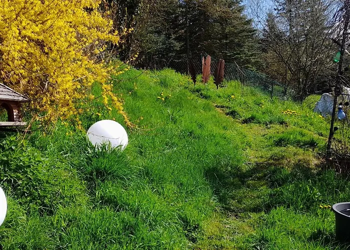 Willrich Blankenheim